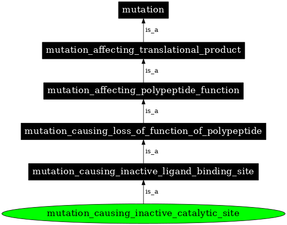 Graph image for SO:1000120