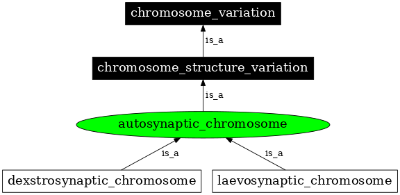 Graph image for SO:1000136