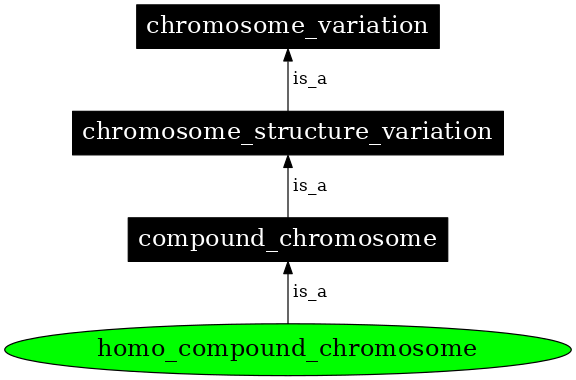 Graph image for SO:1000138