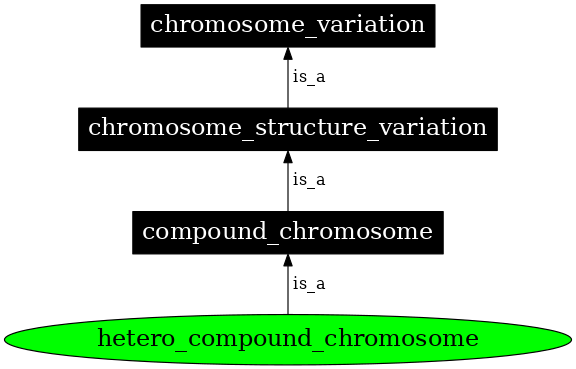 Graph image for SO:1000140
