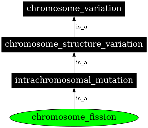 Graph image for SO:1000141