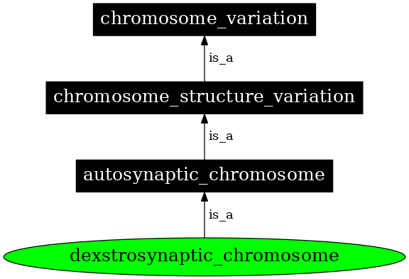 Graph image for SO:1000142