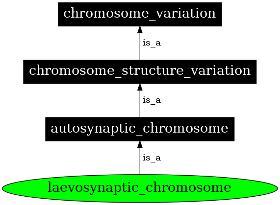 Graph image for SO:1000143