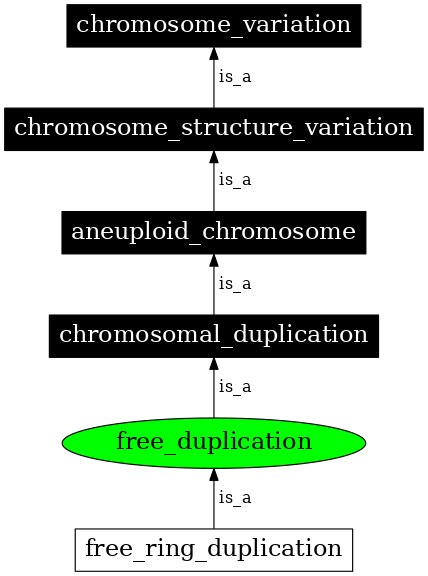 Graph image for SO:1000144