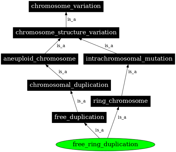 Graph image for SO:1000145
