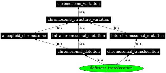 Graph image for SO:1000147