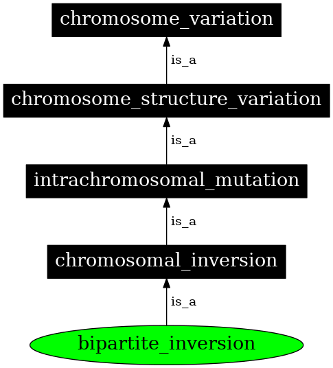 Graph image for SO:1000151