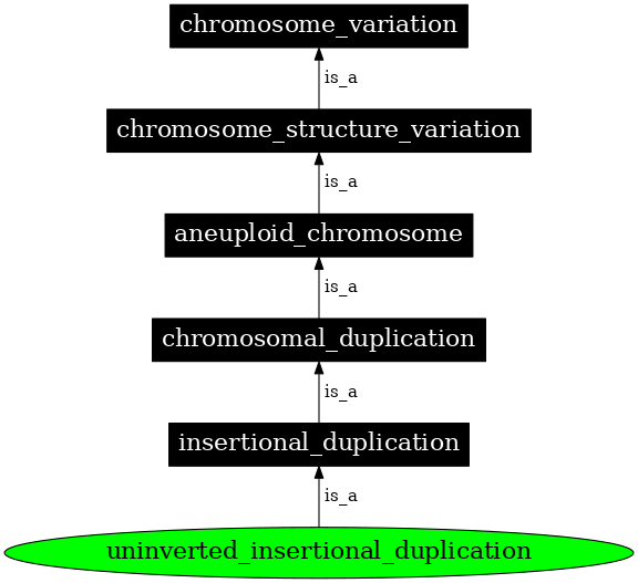 Graph image for SO:1000152