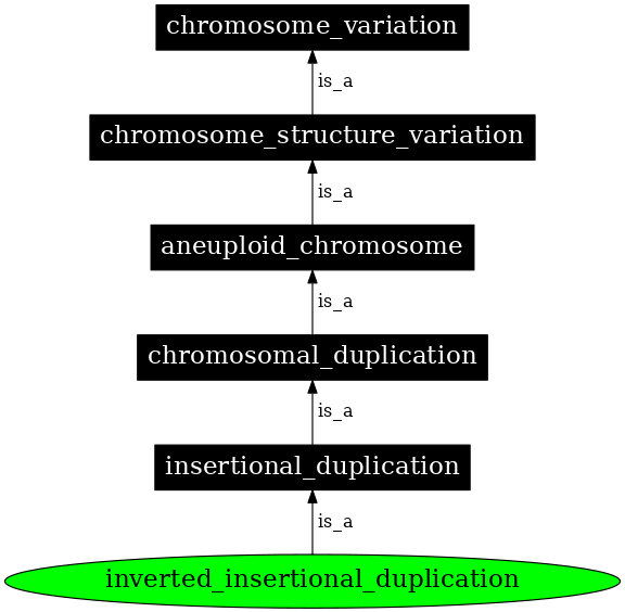 Graph image for SO:1000153