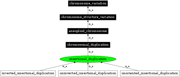 Graph image for SO:1000154