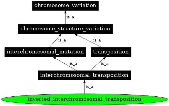 Graph image for SO:1000156
