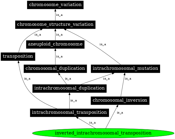 Graph image for SO:1000158