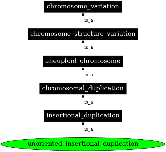 Graph image for SO:1000160