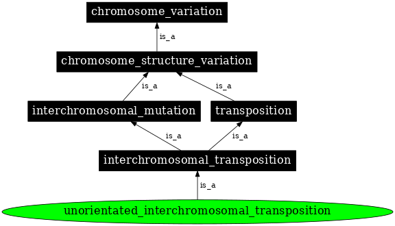 Graph image for SO:1000161