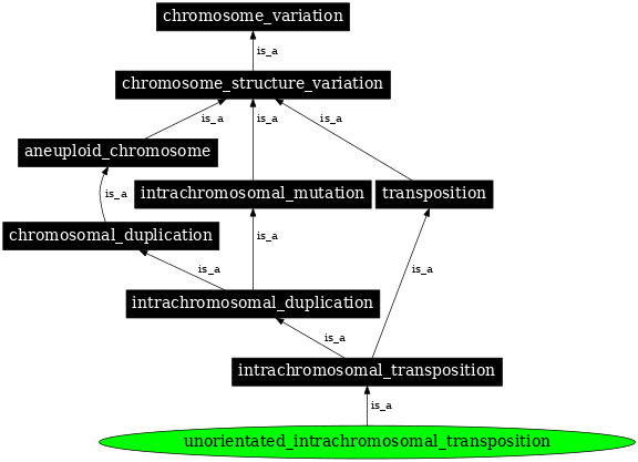 Graph image for SO:1000162