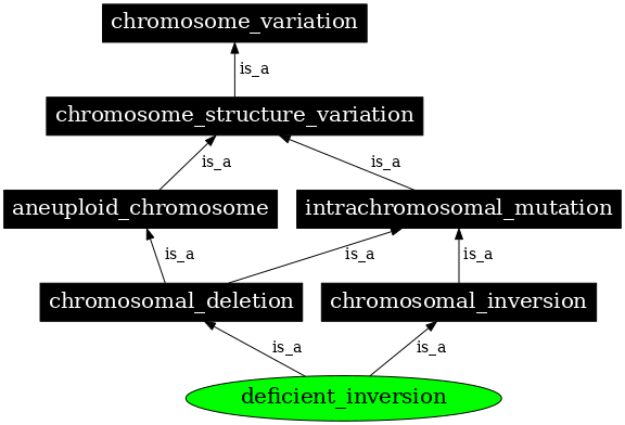 Graph image for SO:1000171