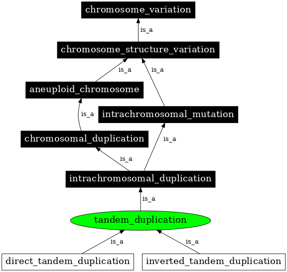 Graph image for SO:1000173