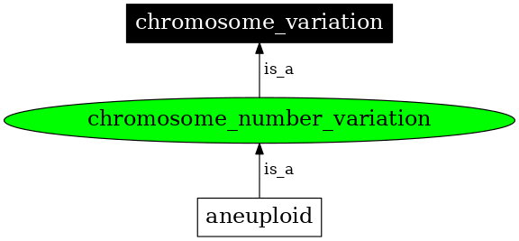 Graph image for SO:1000182