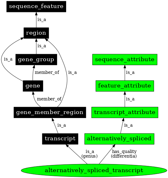 Graph image for SO:1001187