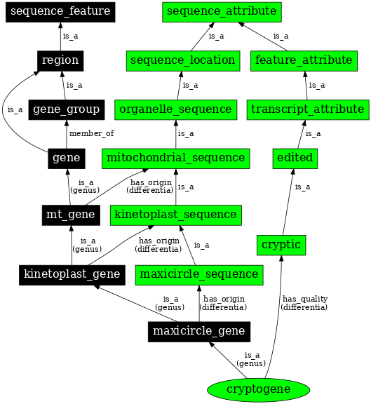Graph image for SO:1001196