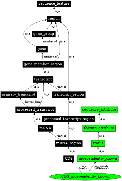 Graph image for SO:1001246