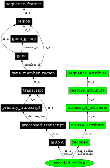 Graph image for SO:1001261