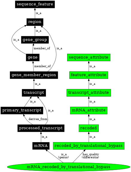 Graph image for SO:1001264