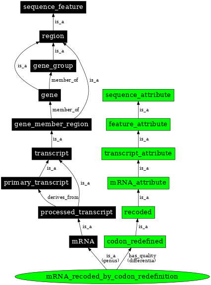 Graph image for SO:1001265