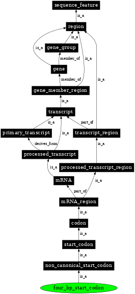 Graph image for SO:1001269