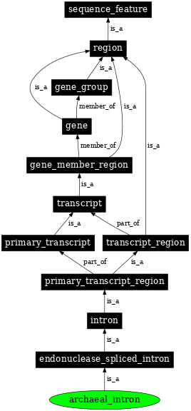 Graph image for SO:1001271