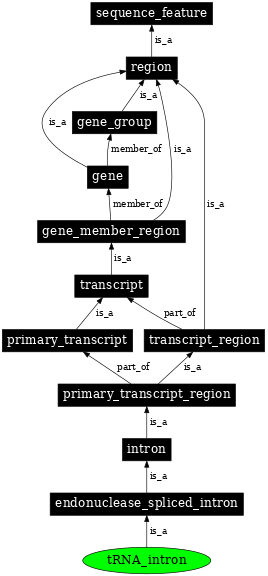 Graph image for SO:1001272