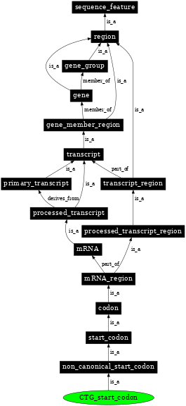 Graph image for SO:1001273