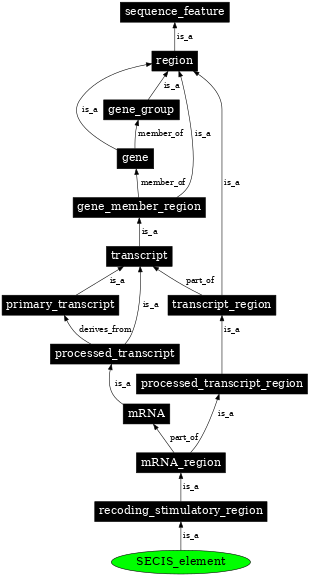 Graph image for SO:1001274