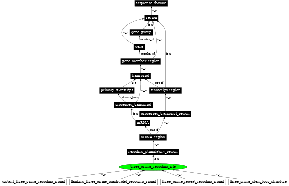 Graph image for SO:1001277