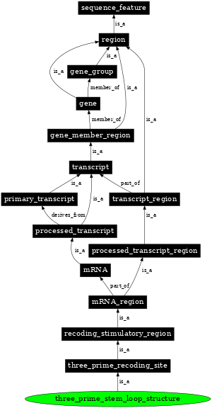 Graph image for SO:1001279