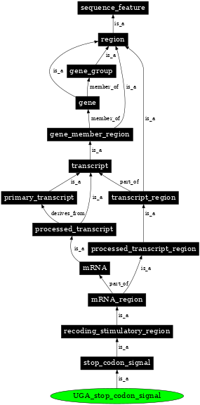 Graph image for SO:1001285