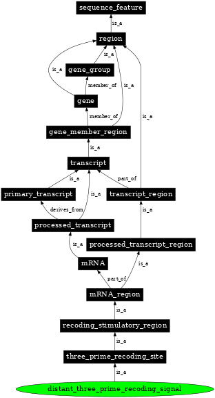 Graph image for SO:1001287