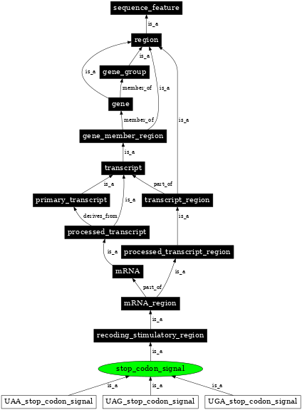 Graph image for SO:1001288