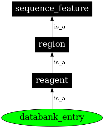 Graph image for SO:2000061
