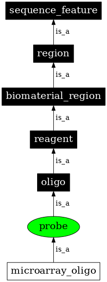 Graph image for SO:0000051