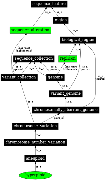 Graph image for SO:0000055