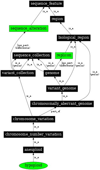 Graph image for SO:0000056