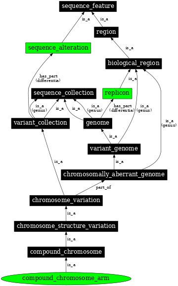 Graph image for SO:0000060