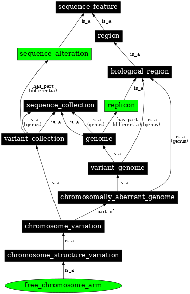 Graph image for SO:0000065