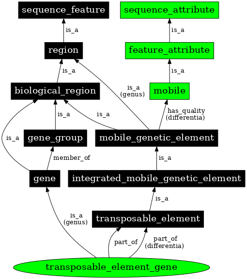 Graph image for SO:0000111