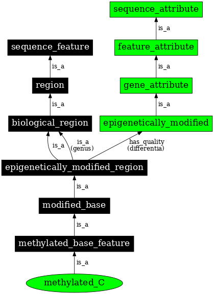 Graph image for SO:0000114