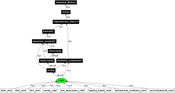 Graph image for SO:0000150