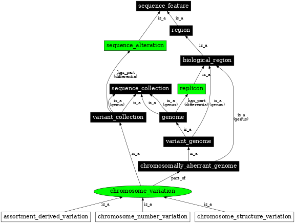 Graph image for SO:0000240