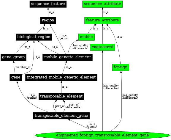Graph image for SO:0000283