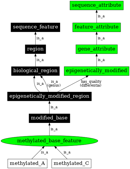 Graph image for SO:0000306